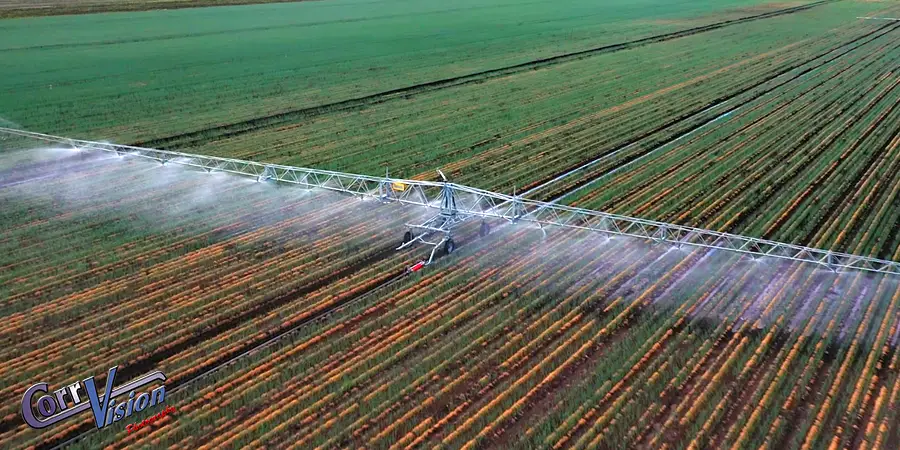 photography in vaughan